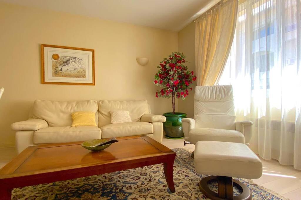 Spacieux T3 Au Centre D'ajaccio Apartment